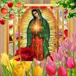 Meet your Posher, Helida